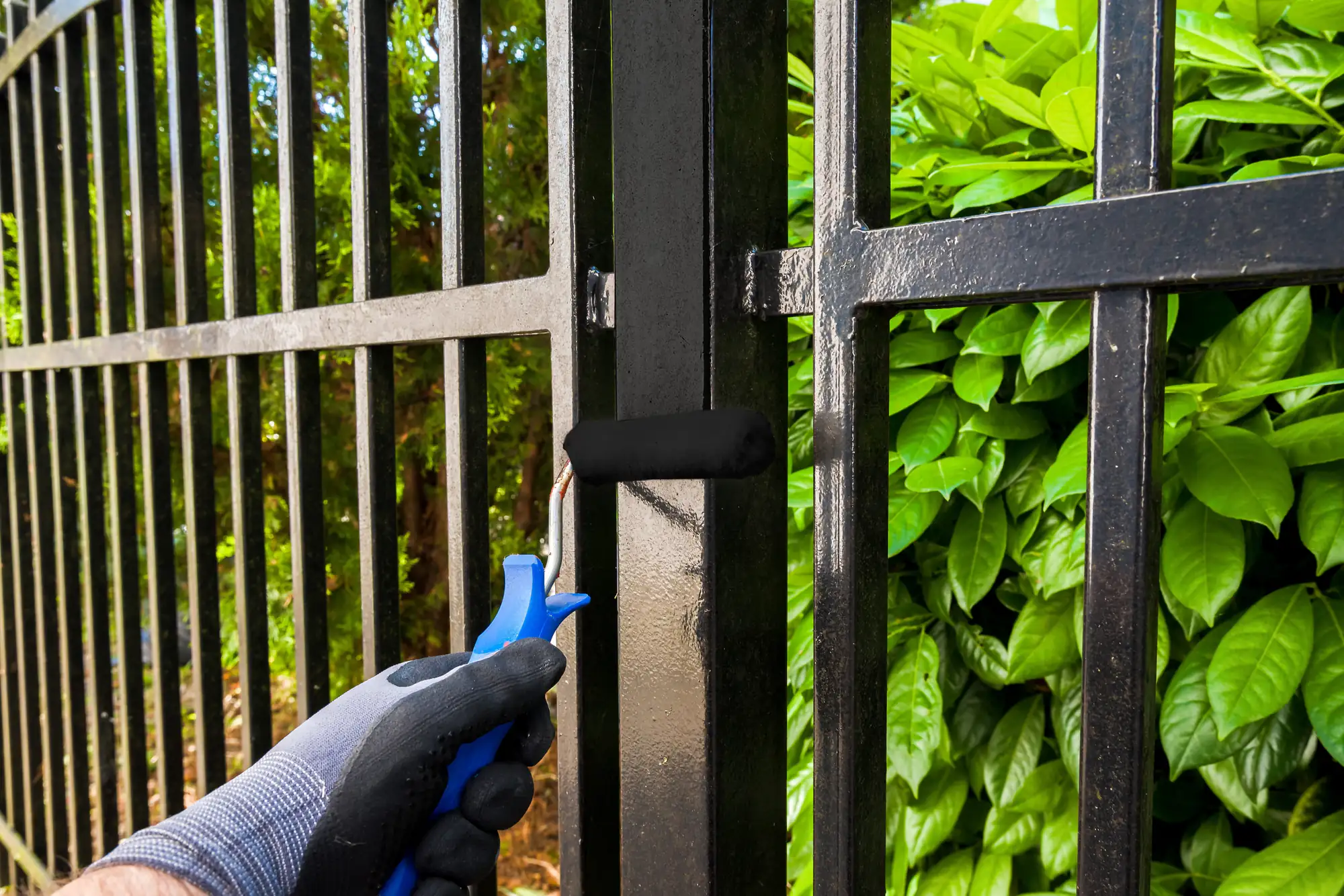 A gloved hand paints a black metal fence near green bushes, work by Fence Company Suffolk County.