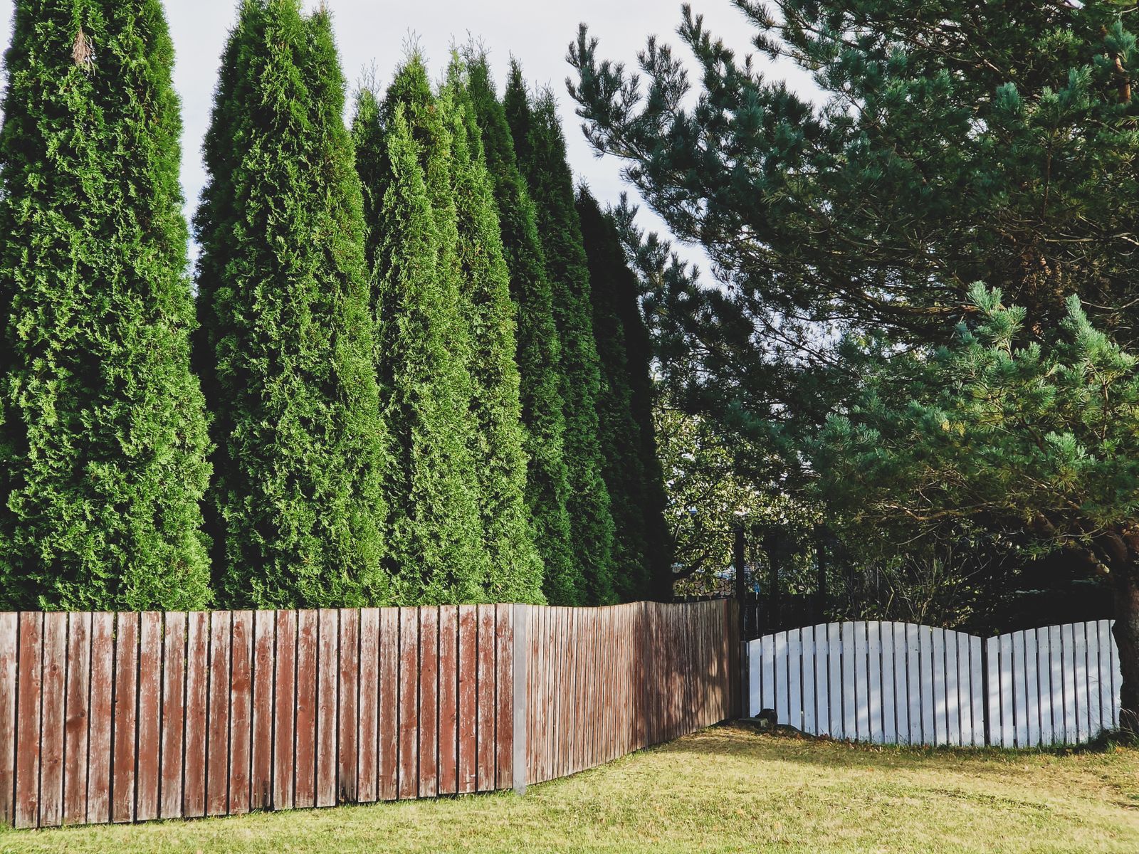 Fence repair and restoration in Suffolk County